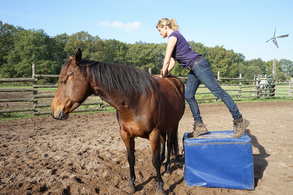 Behandlung im Freien