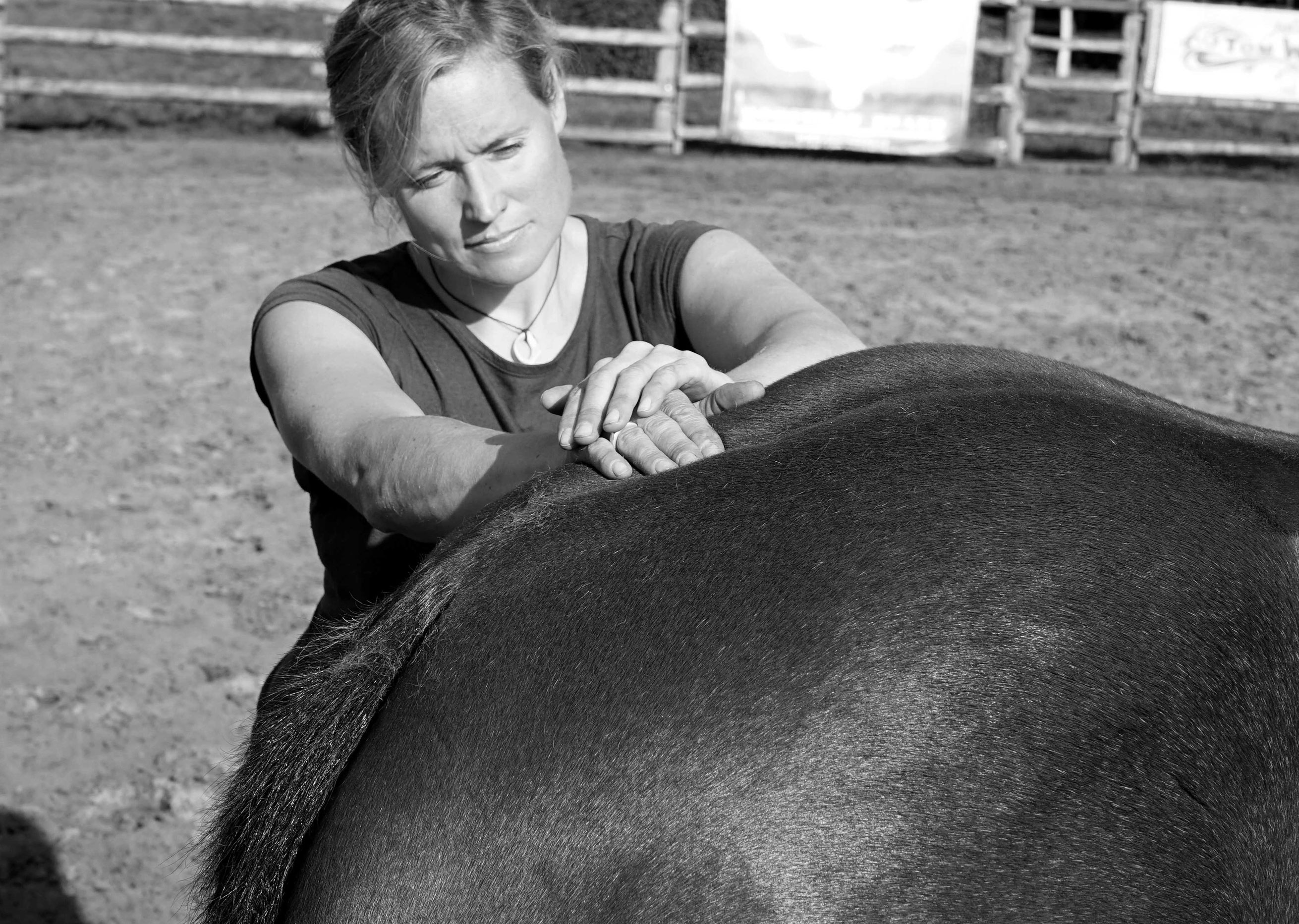 dr Christiane Hagen mit Quarterhorse Stute Cat.